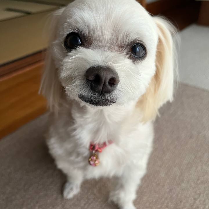 Eccc5195 d993 49bc 8fab e107d0723102 1697263671531