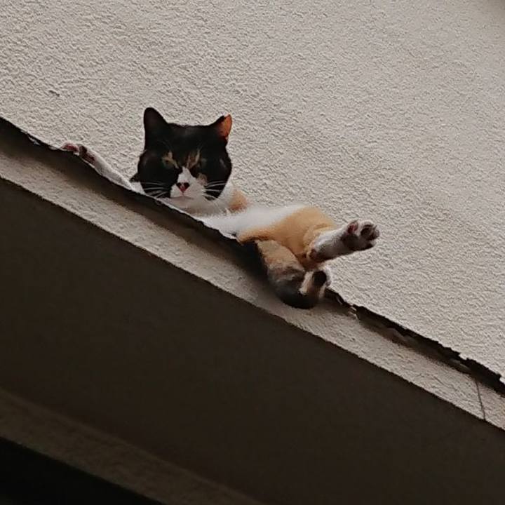 Eccc579a 989a 4e50 8ae7 c6a69f431e27 1655342425187