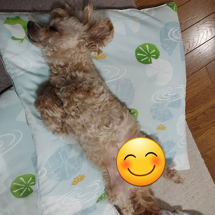 Eccc6822 5e40 4e24 b9f6 84da882d2b2b 1744529430216