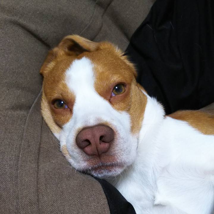 Eccc847f c510 475f b653 c5707a85a38e 1557841011355