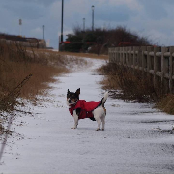 Eccc9108 c6bd 4382 9af8 11d896b090cd 1736725284305