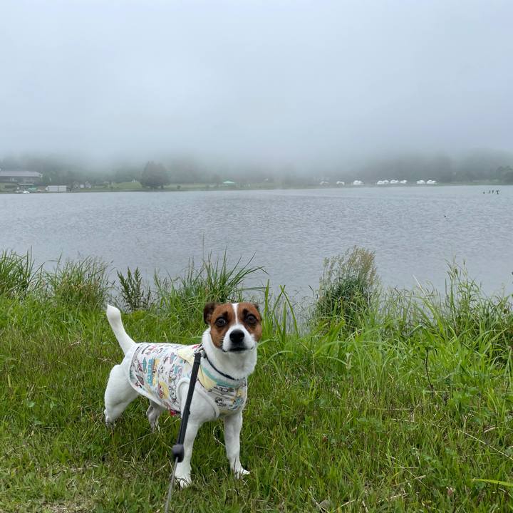 Eccc9e5d 9748 45e2 98f8 bb86ccf31419 1623744134703