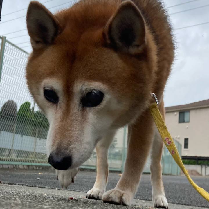 Eccd3ef3 739e 4e5b 85b6 96311ca5f67b 1665729050969