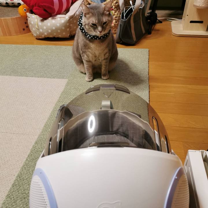 Eccd42a2 2dd2 4e4f 9dae 73ca2cb9f09a 1672201028017