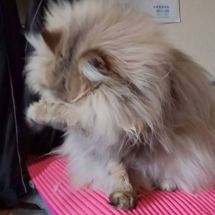 Eccdab54 16d1 49b2 a034 49647496f6a6 1710198507435