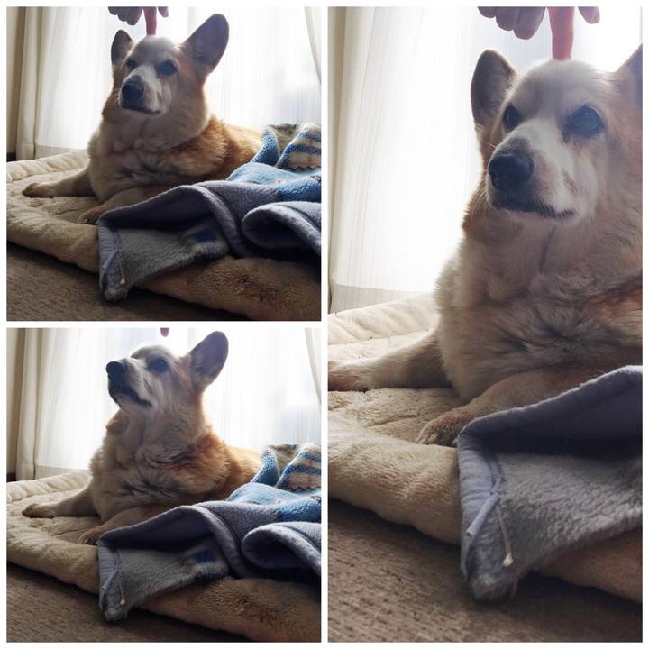 Eccddb77 0f98 45bf aa80 29760c723c9f 1548380923532