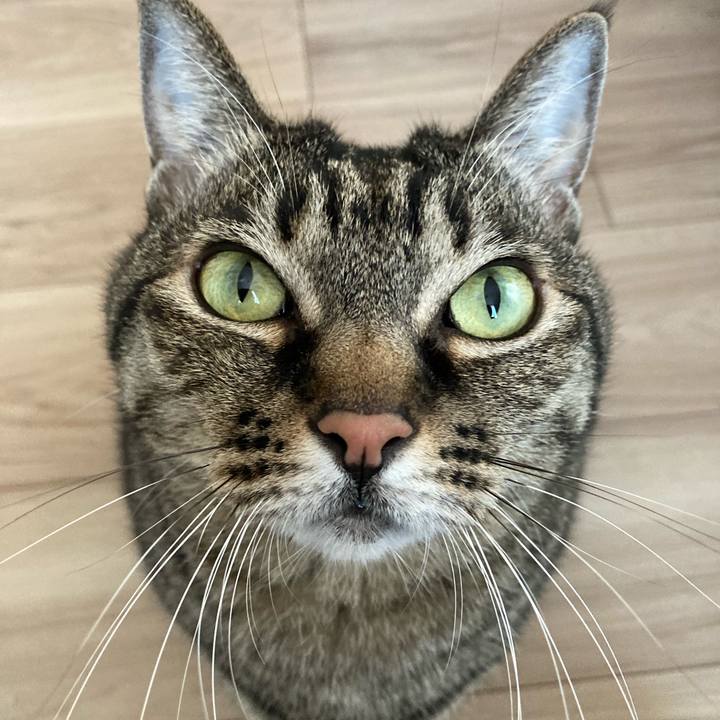 Eccdf2b8 f951 457f acc4 b3c6fab31e5a 1703578170321