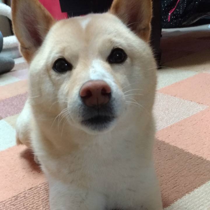 Ecce0867 be5d 44aa a092 51229e202626 1583013036734