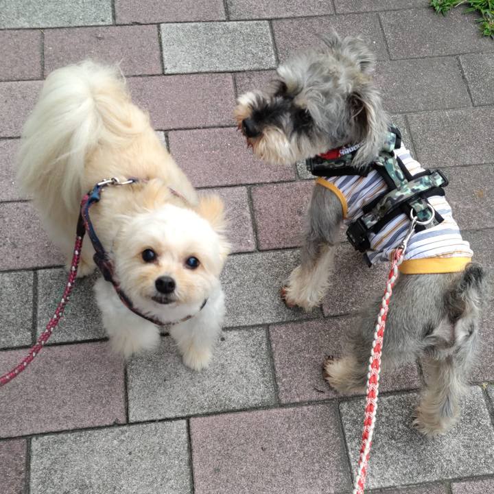 Ecce5fa6 bfbc 4ebc 90cd 82ce2fffa1aa 1687915911034