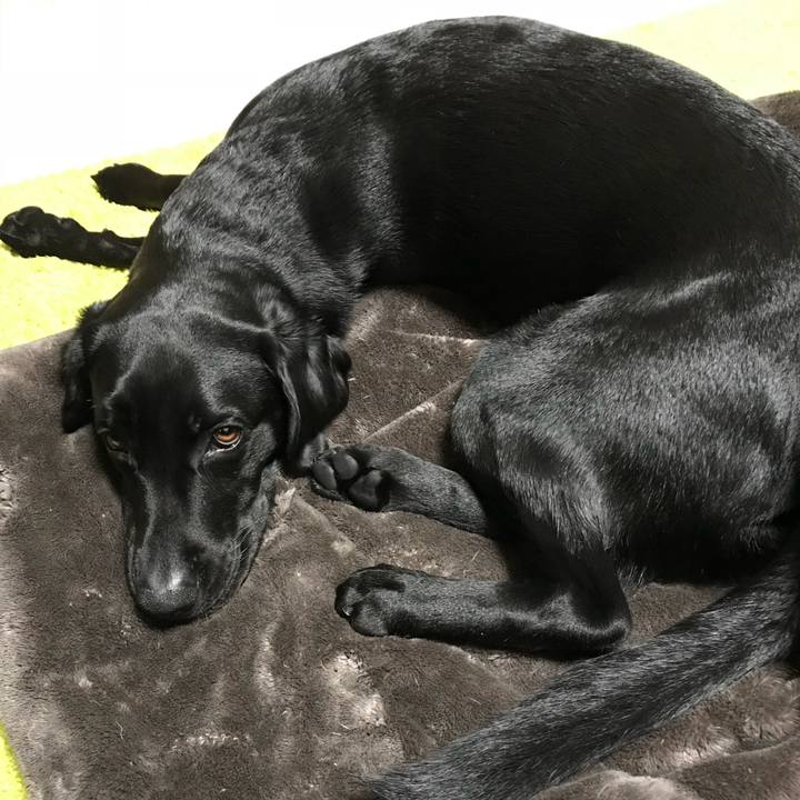 Ecce60dc 4ab8 4923 b67a 47b60522ae3d 1518699134238