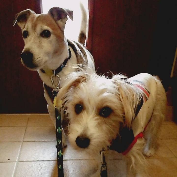 Ecce7324 787f 4b5d ab33 b7237b84a8e4 1519531252992