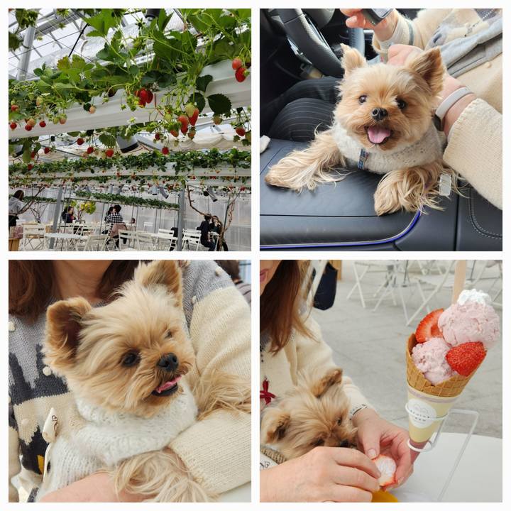 Eccea1d1 1a30 4cce 9cea a880456234e7 1739865343945