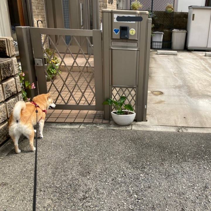 Ecceb864 f687 4a93 b9a0 35ed0c6251a7 1622946686358