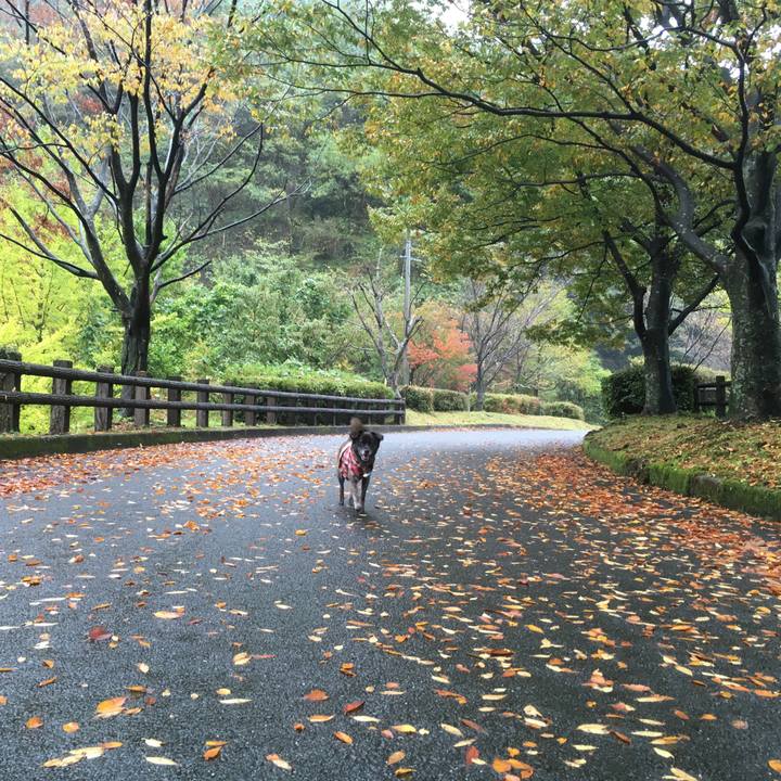 Eccec3ae 6327 4680 ac74 814dd6a00cd3 1511236861669