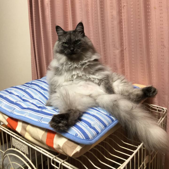 Eccec3da 5dfc 40fe 9210 d9cd294e4bbe 1556056337653