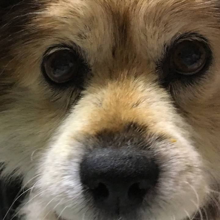 Eccee197 588b 46c3 a05e 83f99e26007f 1609679321817