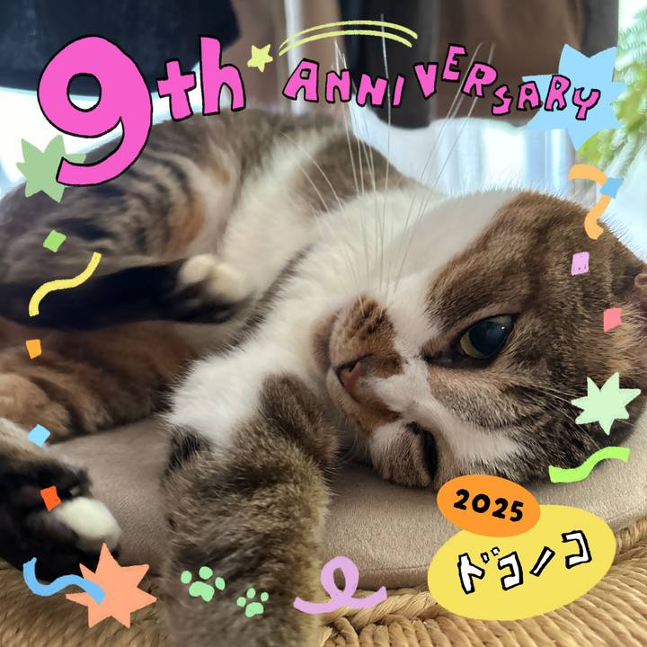 Eccee7ac e147 462b 8ac9 a015d20b39e3 1749602410061