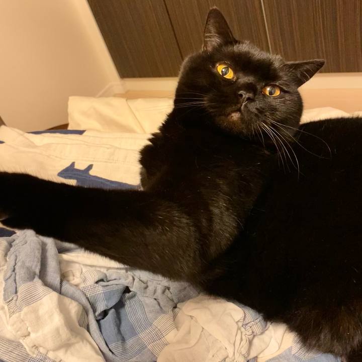 Eccef257 2f99 4a91 b169 2c33a1a3ed7d 1715337322718