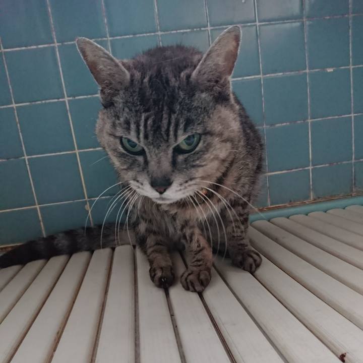 Eccef46f b8e3 49d5 9a84 859bb5e07dfd 1591474732875