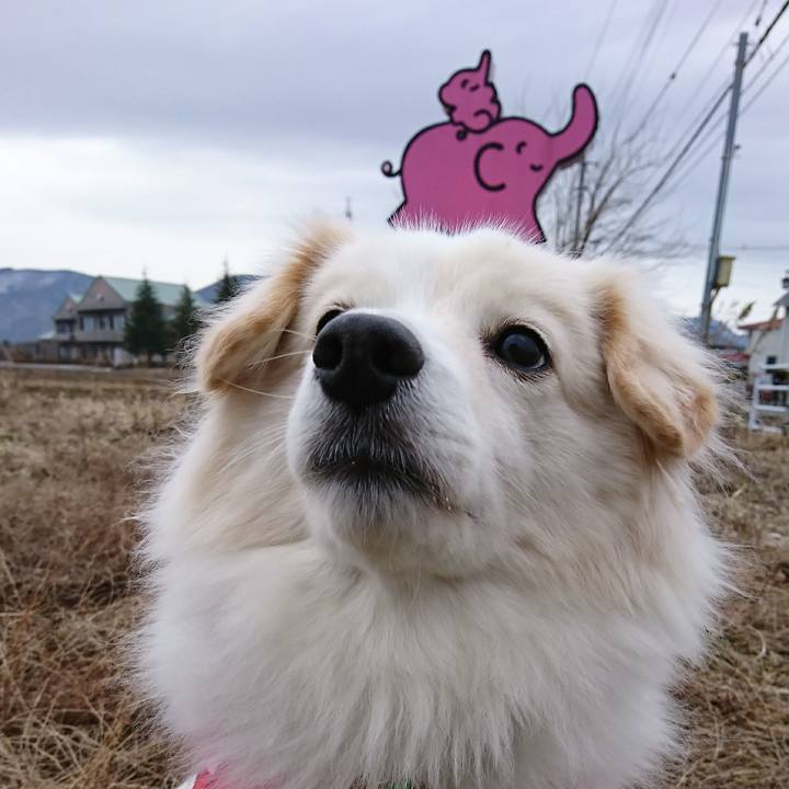 Eccef885 f904 4767 a04c 4a05bb5433f5 1516143941156