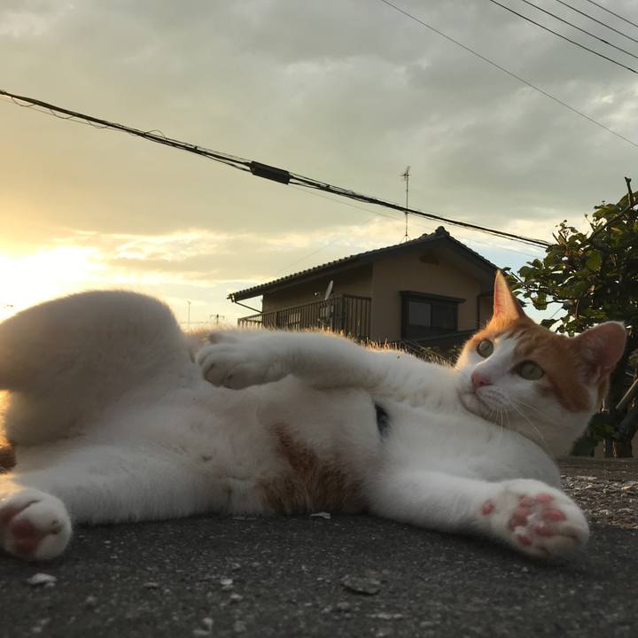 Eccef9d9 2c93 4d0c 8609 6058c93a6eb8 1534927874319