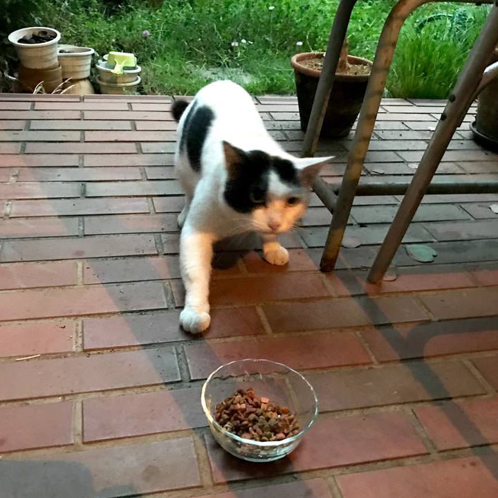 Eccf039a ac29 4fd6 a95e 097a73bcf74c 1563938988882