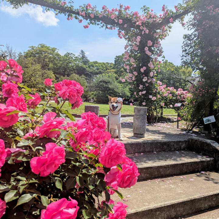 Eccf0cfd 90de 497a b076 c6f88ab008d7 1747189849184