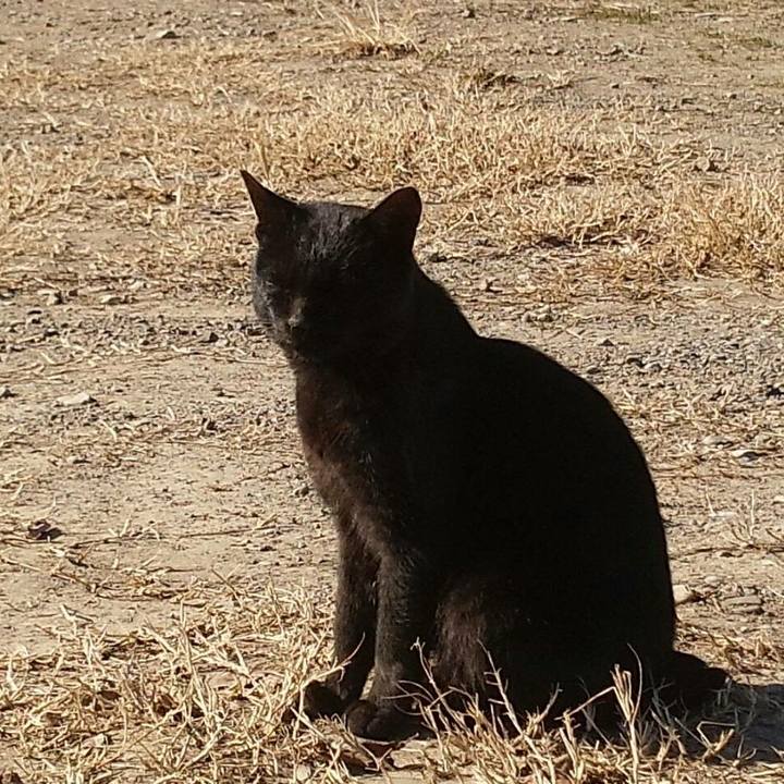 Eccf68c6 df72 4a86 b1cf d6d377a333b5 1513677075212