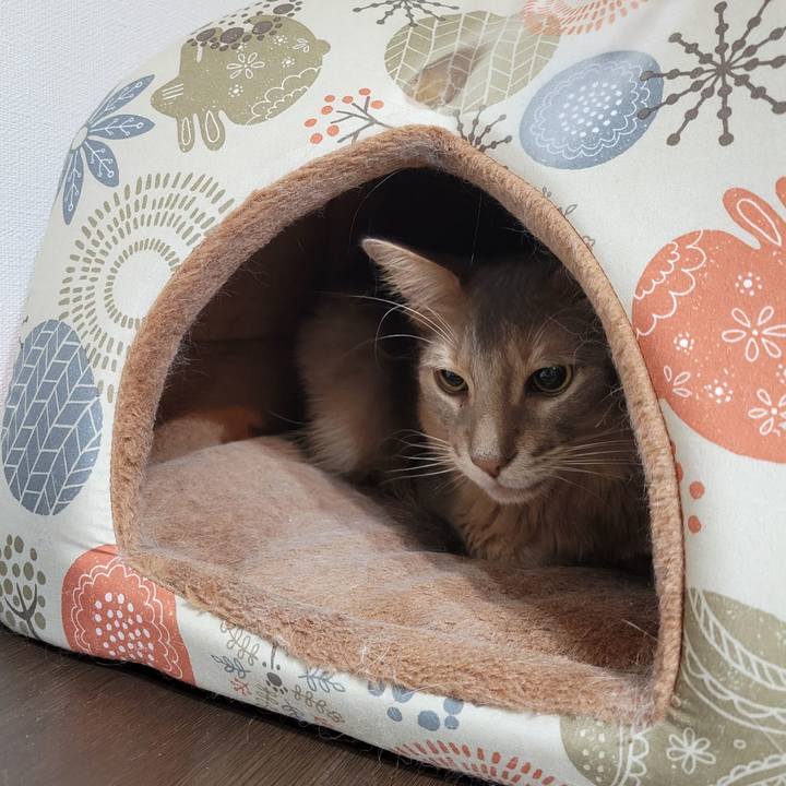 Eccf7eec 1b49 4258 9b94 9f7df97ab974 1672498502663