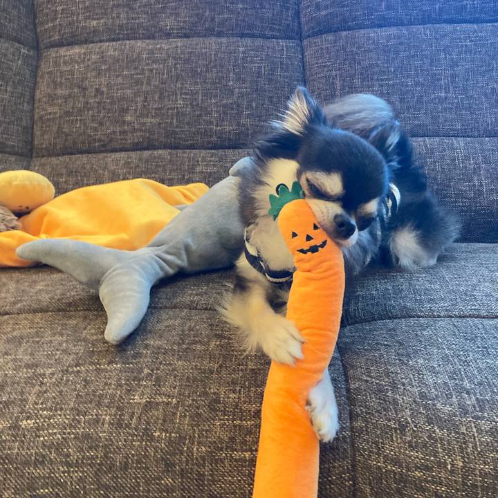 Eccf9311 28d1 4e86 b1b7 d456b198a9a9 1717862386859