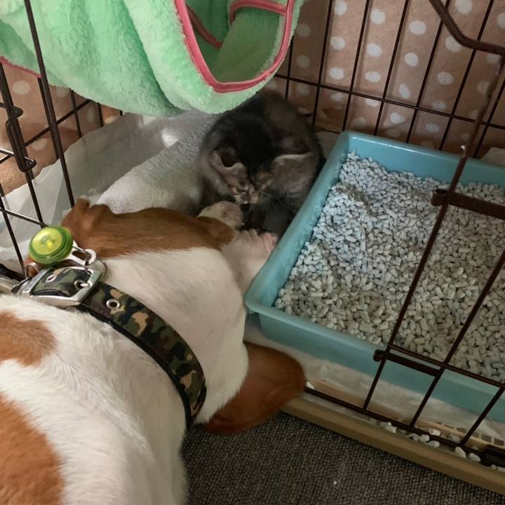 Eccfb17a 82c2 4679 9d01 16f576aaedb2 1558658477281