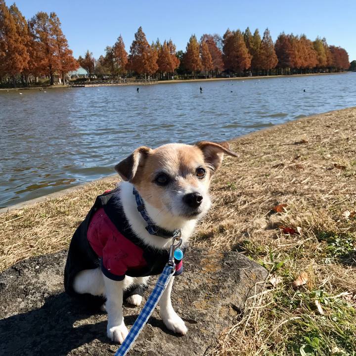 Ecd00368 20db 4730 8ef0 82b83afc6d05 1638078356115