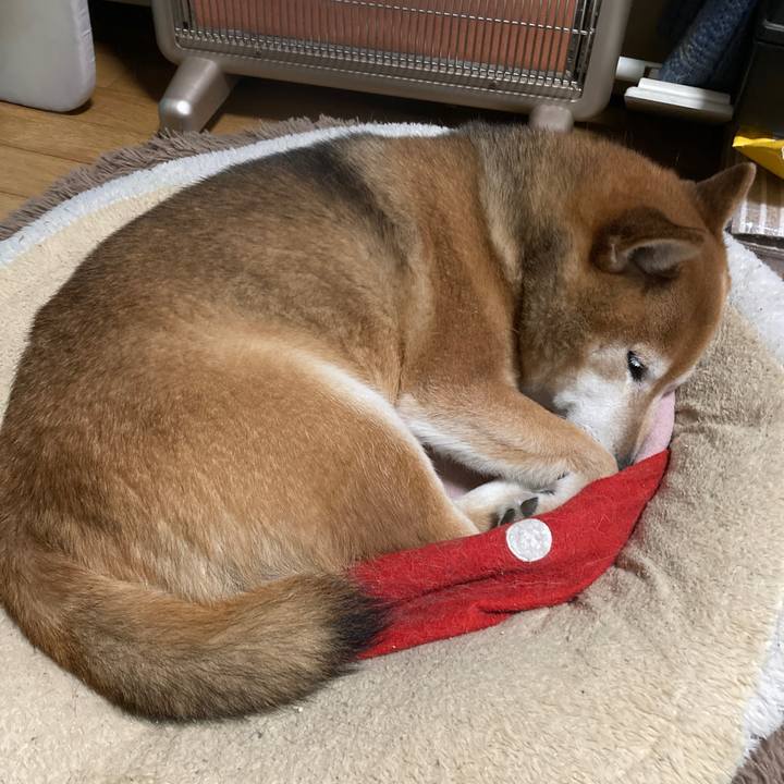 Ecd00732 2288 4fb3 b8b5 81ded8aef7d3 1676247822481