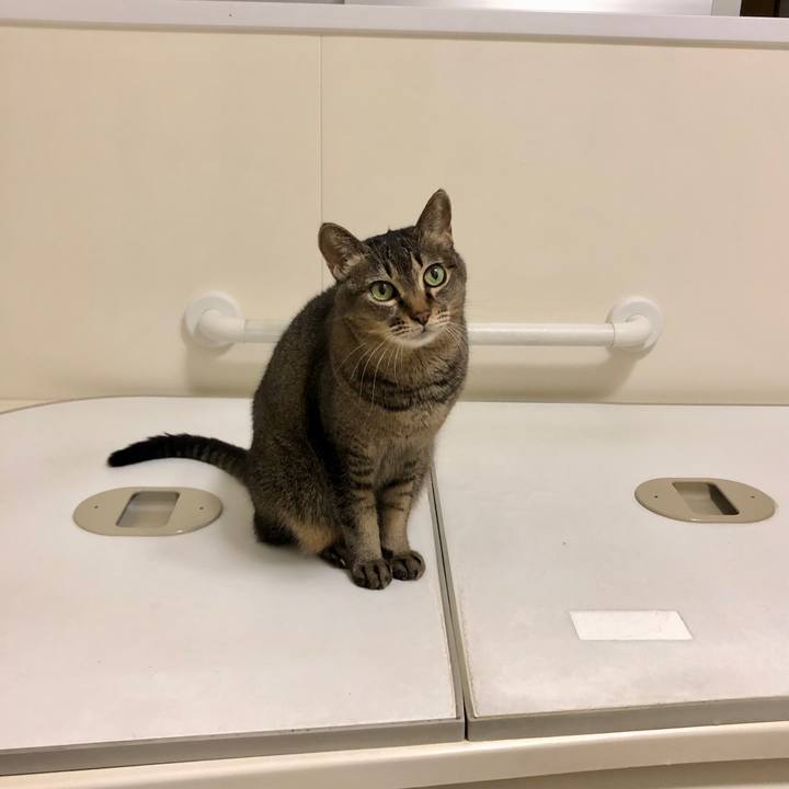 Ecd0295c 531c 4f49 be06 b1aaec948105 1668301373895