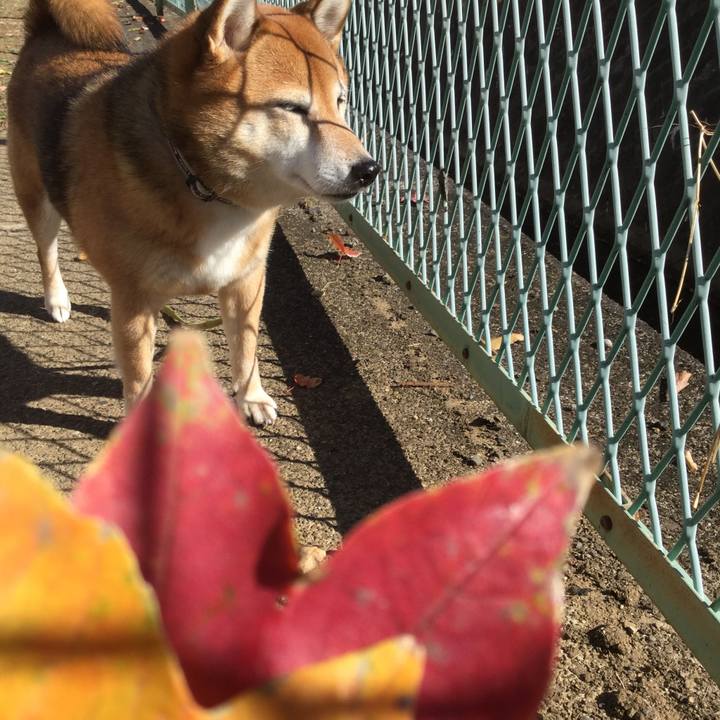 Ecd038bc af36 483c b7ba 0af1c41d5585 1606530773699