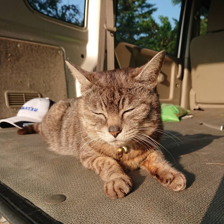 Ecd0dc3d c07b 42e8 abfd e554f156b7e4 1559509089559