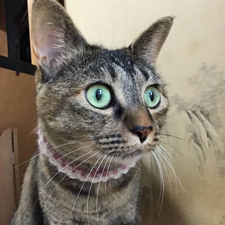 Ecd0fc07 c155 4da6 b028 2565301a1ef9 1660041850453