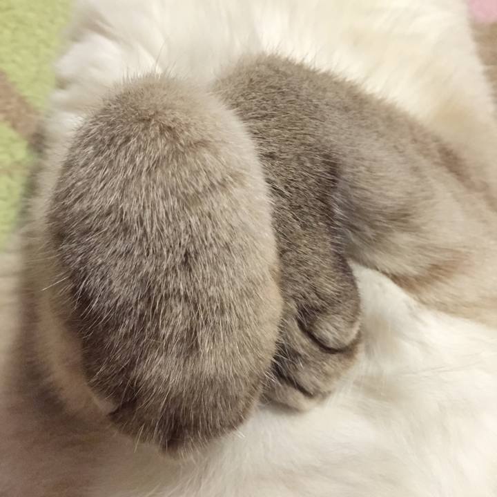 Ecd116cd 8793 4737 88e0 5bc6eb384451 1540815203912