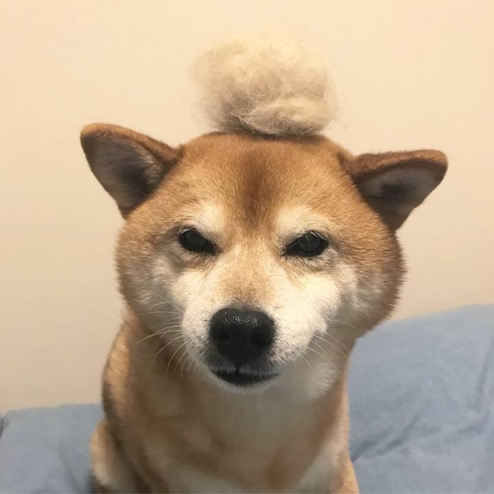 Ecd13d36 46e6 4bd3 8543 68487263e120 1517050417221