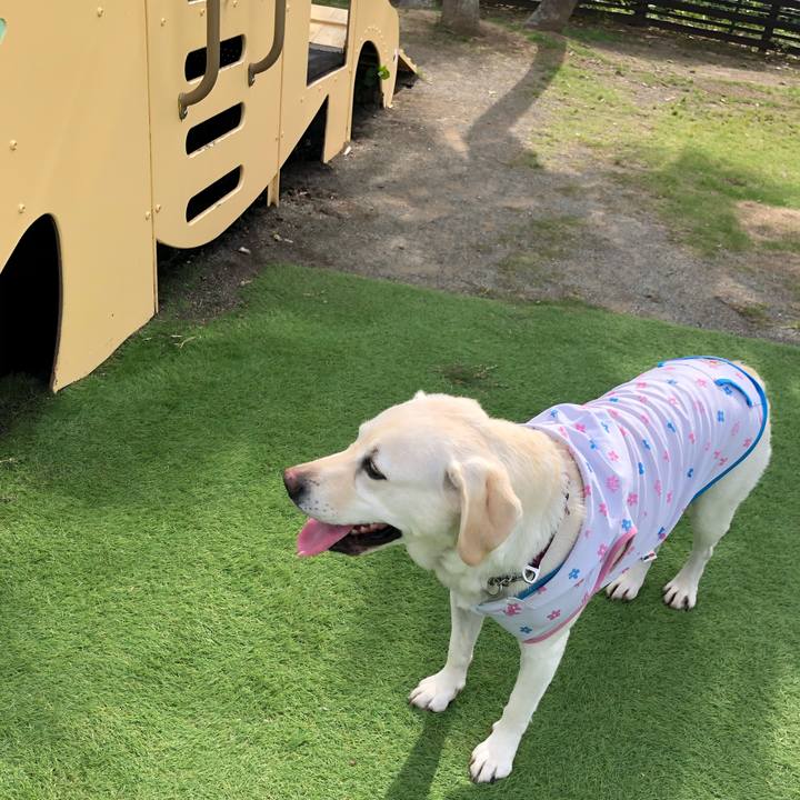 Ecd14992 21ae 4916 8fcf 898974aebe54 1622843144240