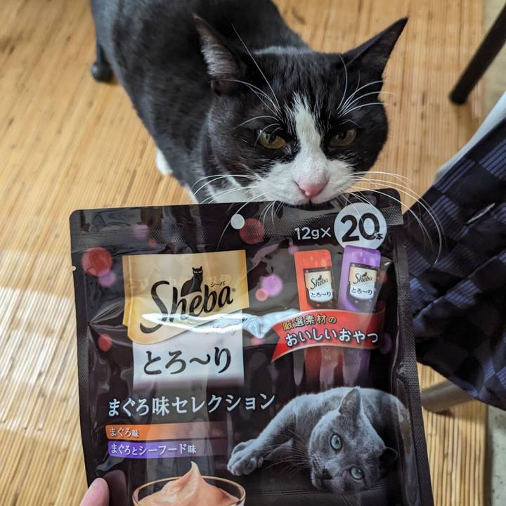 Ecd15677 abb1 41ee 876a 59401f75d825 1709442370622