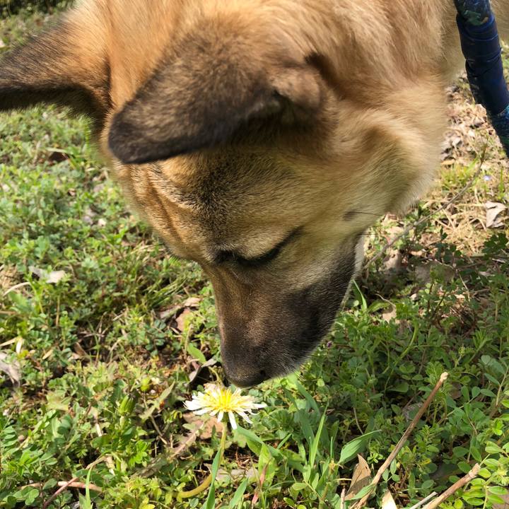 Ecd15778 8586 4fc8 b2ec 468bf88f45e5 1553144104509