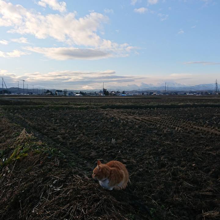 Ecd16b5b 86d1 467d a617 54986247001d 1578899507018