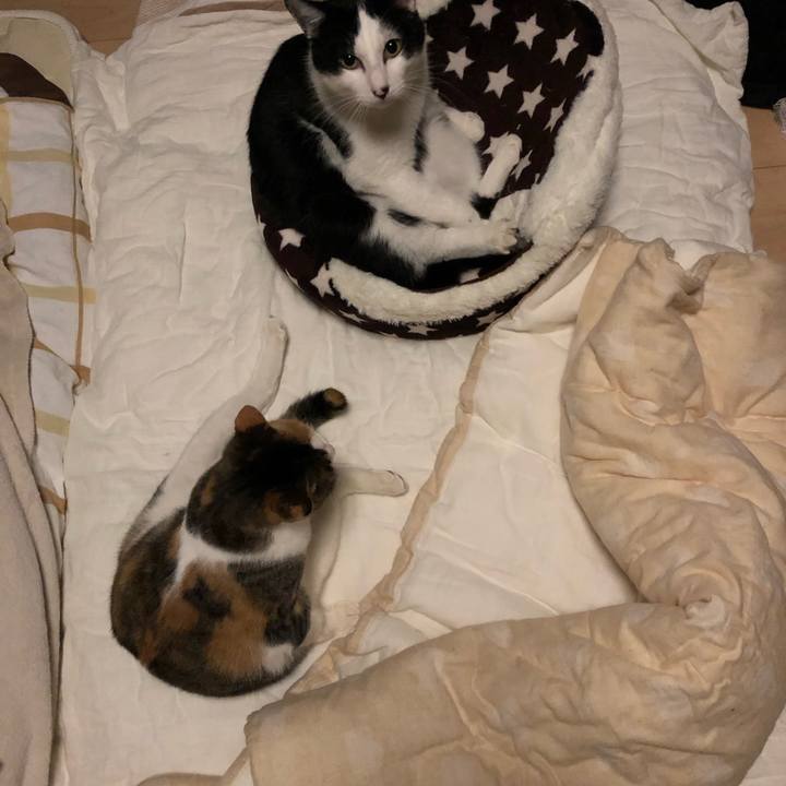 Ecd1896e 022b 458a a754 fbb27c282902 1581262768001