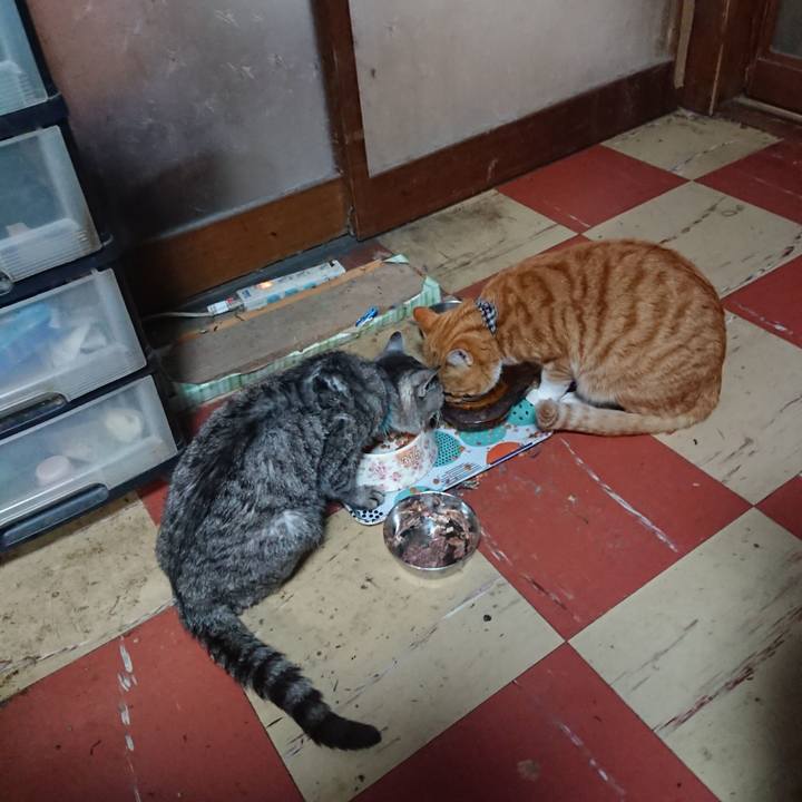 Ecd1e39a 2522 4cf6 aba4 f079cc49c80e 1606422813971