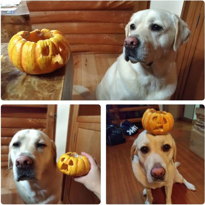 Ecd205e3 177f 41b6 9117 dc026f04ebb1 1572867395504