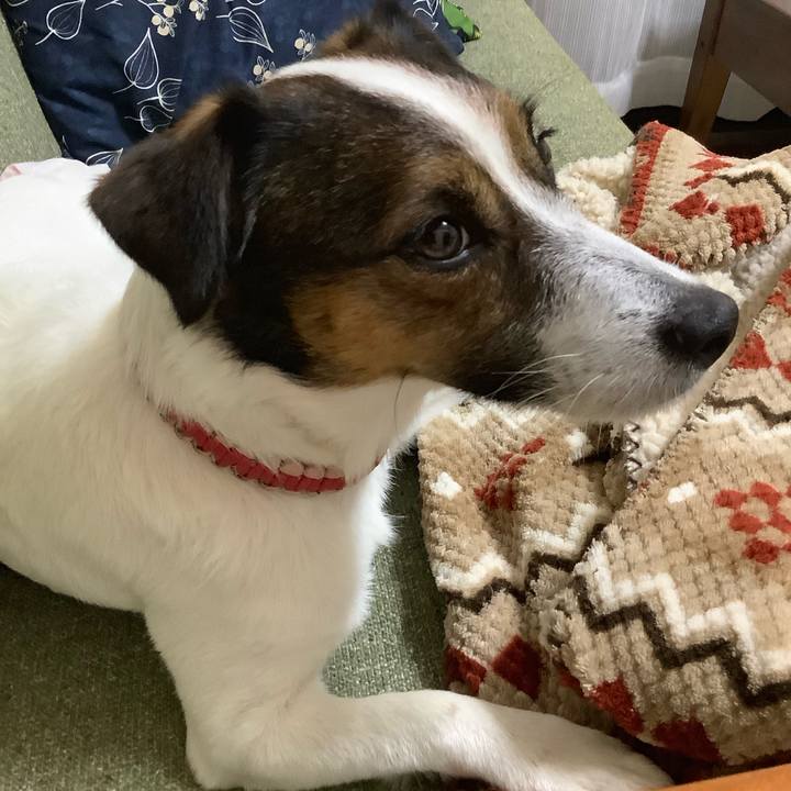 Ecd25521 edba 4062 a19f 13661106d489 1563360889215