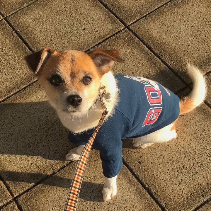 Ecd26d39 693c 4ece b61d aaa2f5d64e49 1587199079606