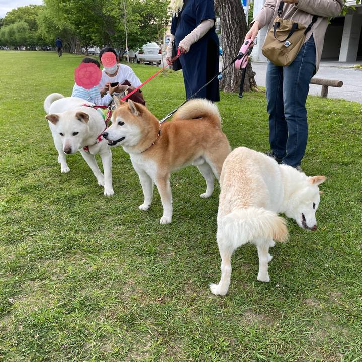 Ecd27510 7b61 416f b0c8 7a481c70c59f 1651838124766