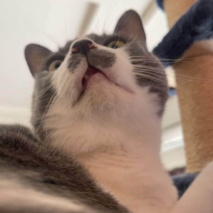 Ecd27749 91a5 4ea9 a56a 1a7d076fa706 1729383735336